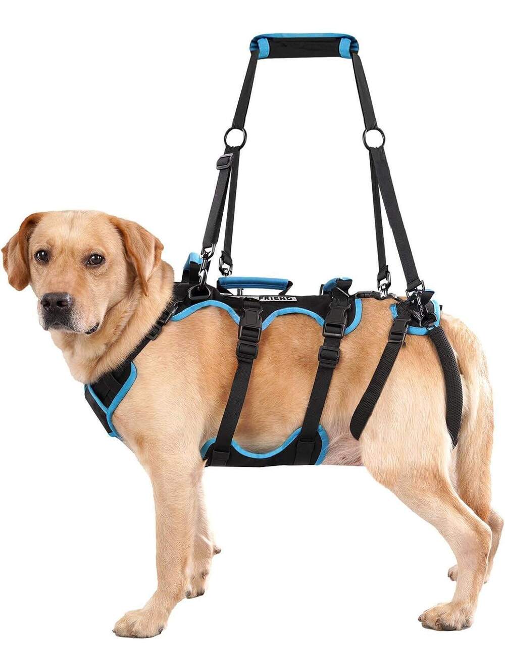 Dog Lift Harness for Large Male Dogs - 2-in-1 Support & Carrying Sling (XL)